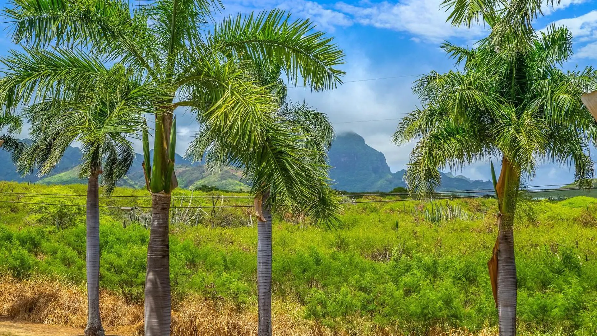 Vila Pili Mai II Koloa 0*,  USA